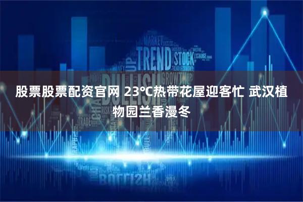 股票股票配资官网 23℃热带花屋迎客忙 武汉植物园兰香漫冬