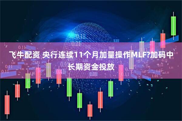 飞牛配资 央行连续11个月加量操作MLF?加码中长期资金投放