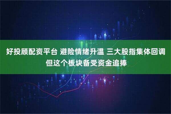 好投顾配资平台 避险情绪升温 三大股指集体回调 但这个板块备受资金追捧