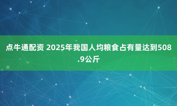点牛通配资 2025年我国人均粮食占有量达到508.9公斤