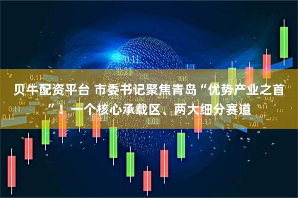 贝牛配资平台 市委书记聚焦青岛“优势产业之首”！一个核心承载区、两大细分赛道