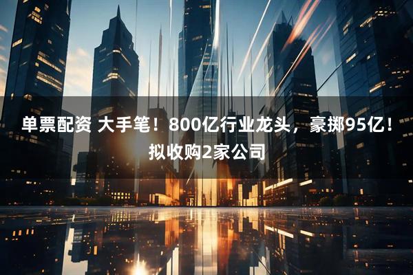 单票配资 大手笔！800亿行业龙头，豪掷95亿！拟收购2家公司