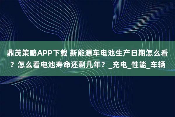 鼎茂策略APP下载 新能源车电池生产日期怎么看？怎么看电池寿命还剩几年？_充电_性能_车辆